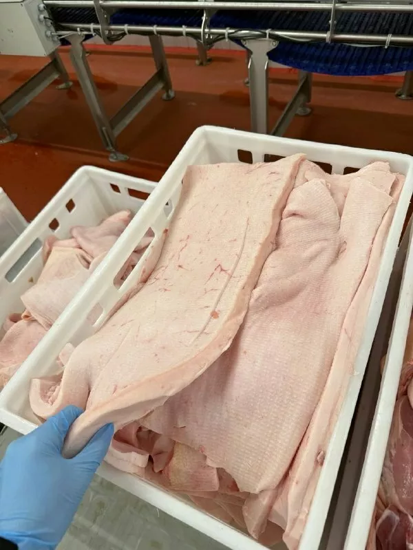Фотография продукта Шпик хребтовой ГОСТ "меркадор"