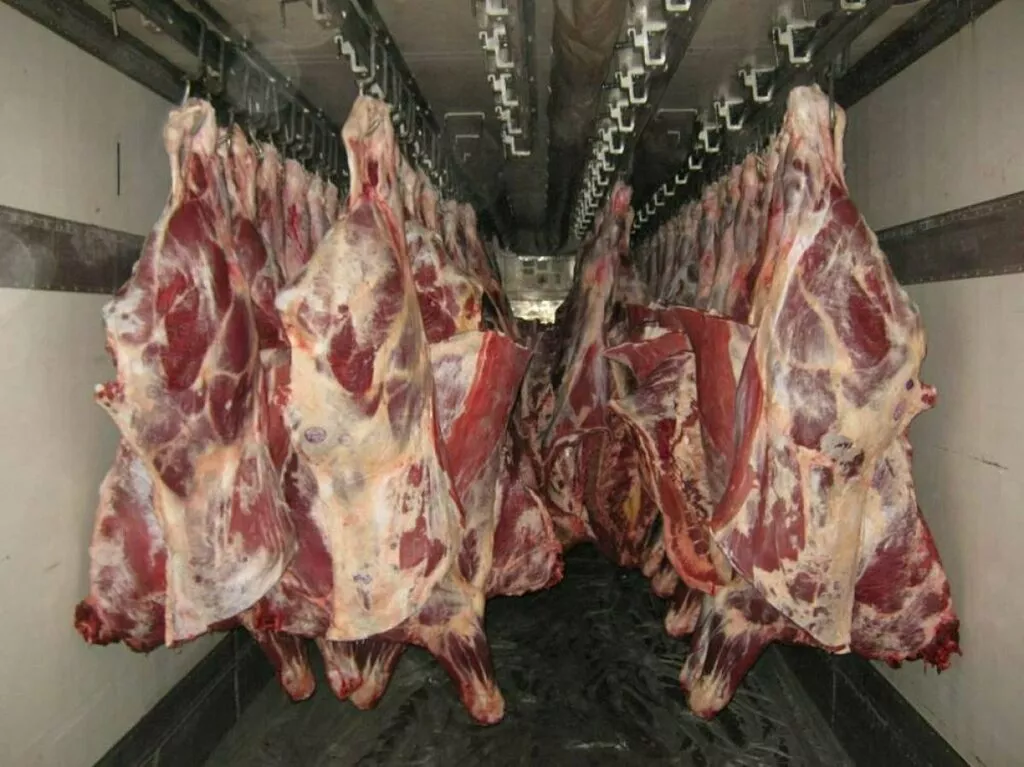 Фотография продукта Полутуши говядины первой категории охл