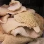 субпродукты говядина для корма животных в Москве