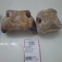 носы говяжьи замороженные в Ижевске и Удмуртской республике
