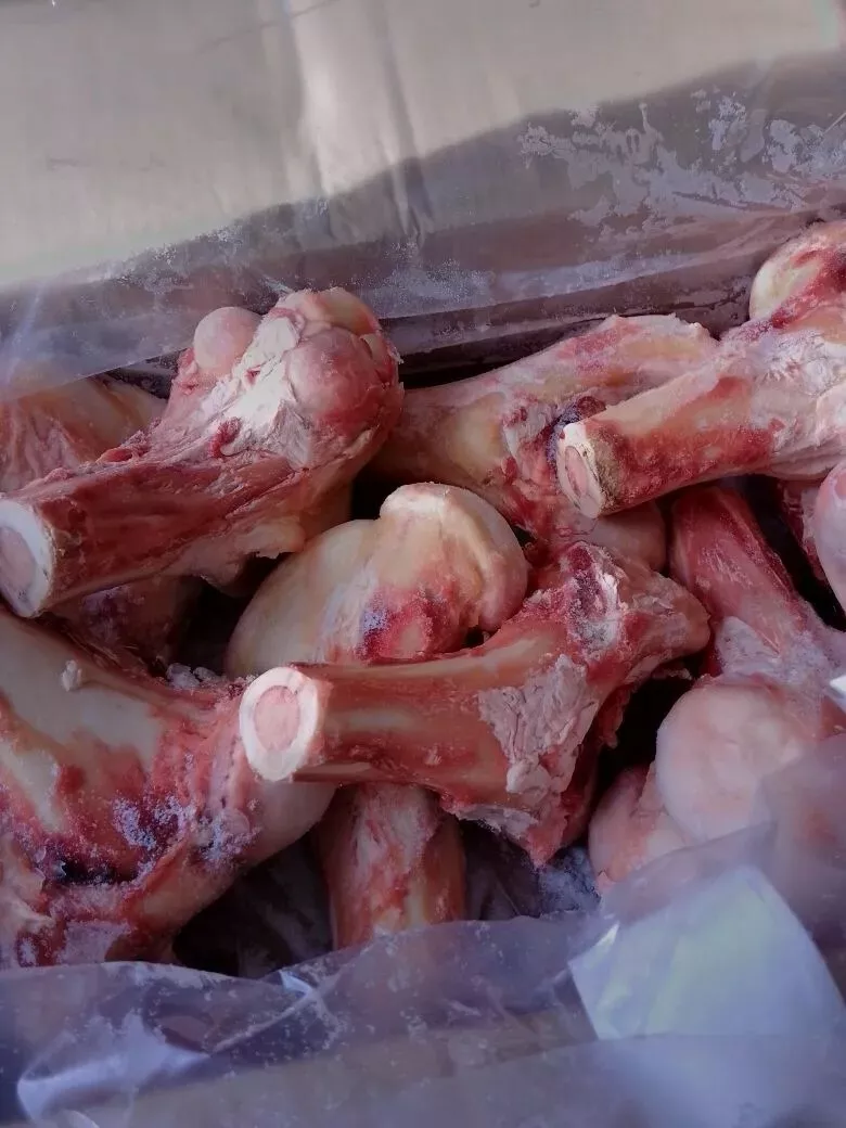 Фотография продукта Кости говяжьи пищевые мозговые пиленые