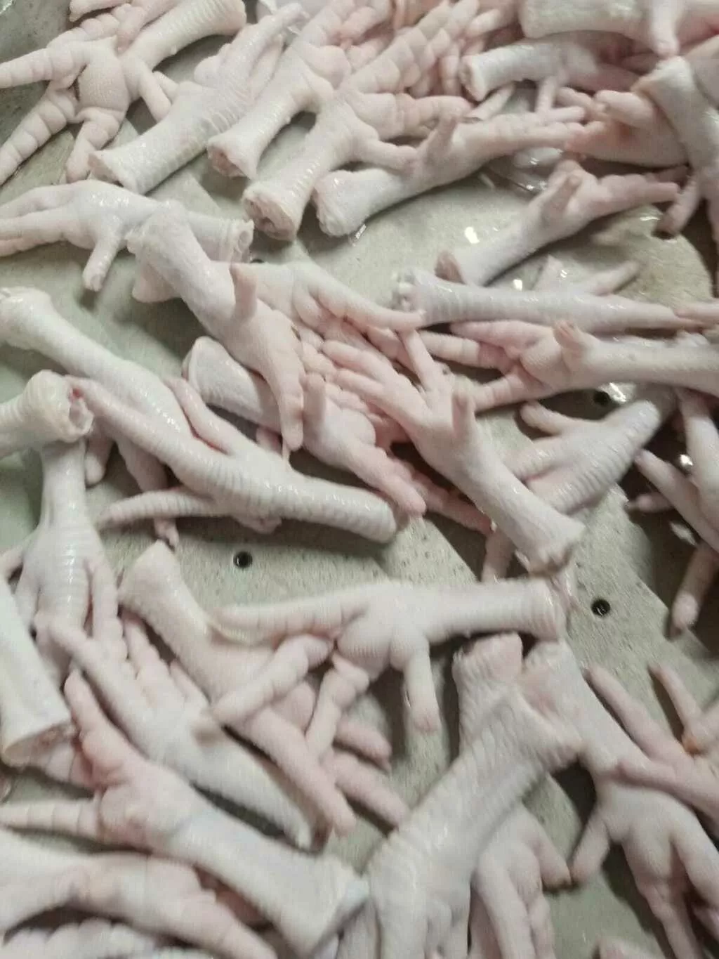 Фотография продукта Ноги ЦБ  зам фас пакет  