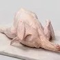 тушка цыплёнка бройлера 1 сорт  в Барнауле и Алтайском крае 3