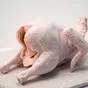 тушка цыплёнка бройлера 1 сорт  в Барнауле и Алтайском крае 2