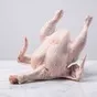 тушка цыплёнка бройлера 1 сорт  в Барнауле и Алтайском крае