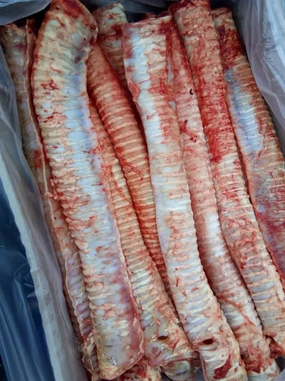 фотография продукта Трахеи говяжьи зам.