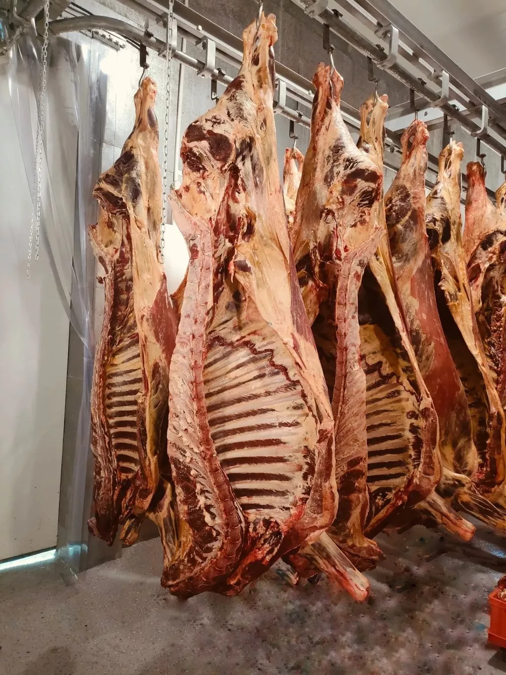 фотография продукта Говядина охлаждённая ГОСТ