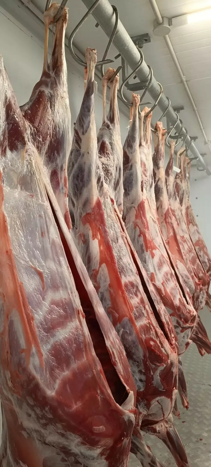 фотография продукта Продаем баранину в тушах с НДС