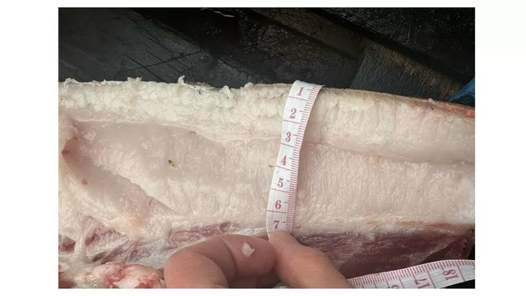 фотография продукта Сало