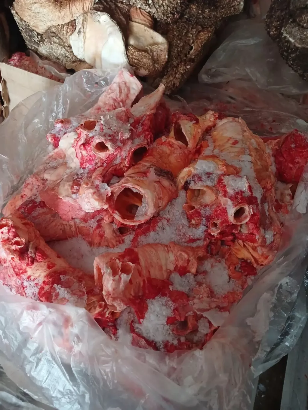 фотография продукта Обрези пищеводов, калтыков, трахей......