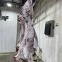 молодняк, коровы1,2 кат. полутуши охл. в Белгороде и Белгородской области 3