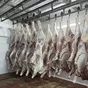 молодняк, коровы1,2 кат. полутуши охл. в Белгороде и Белгородской области 4