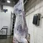 молодняк, коровы1,2 кат. полутуши охл. в Белгороде и Белгородской области 2