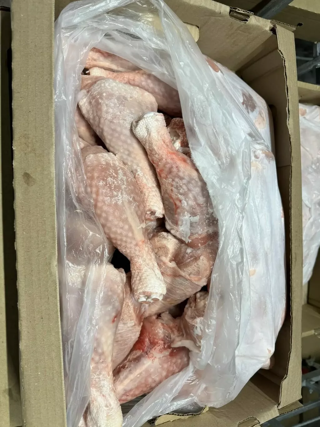 Фотография продукта Мясо индейки от индейки алтая 