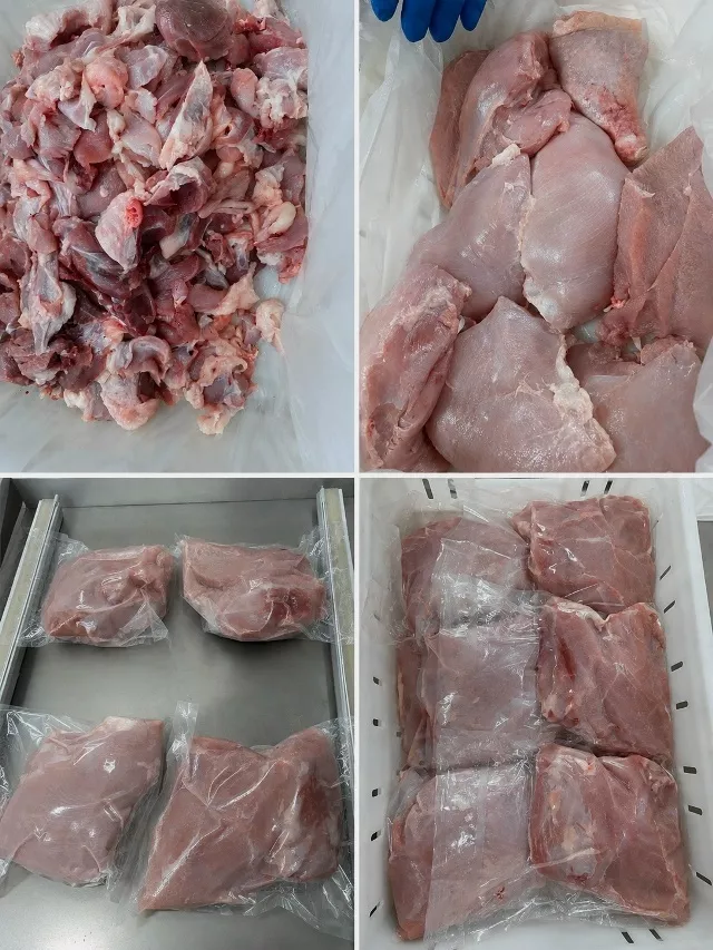 Фотография продукта Филе мяса индейки от производителя 