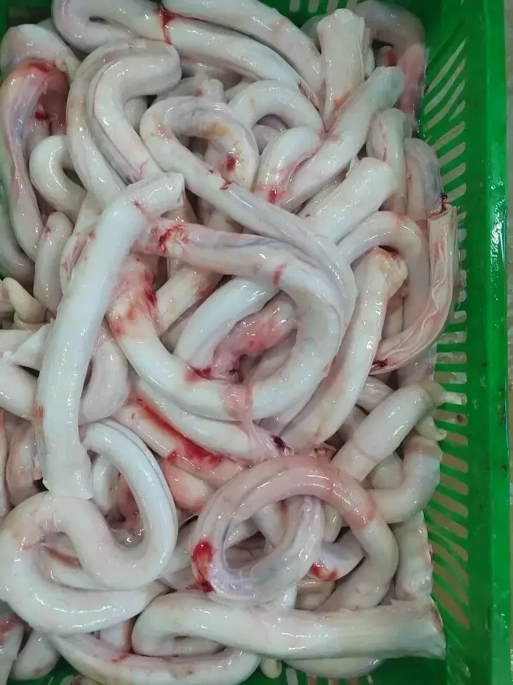 фотография продукта Пенис ( бычий корень ) говяжий - гов