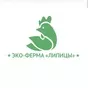 цыпленок корнишон  в Серпухове 3