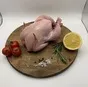 цыпленок корнишон  в Серпухове