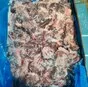 обрезь говяжья industrial meat в Санкт-Петербурге