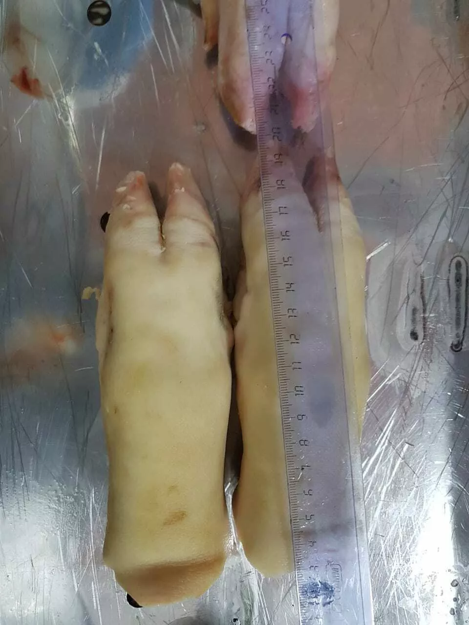 Фотография продукта Ноги свиные передние/задние