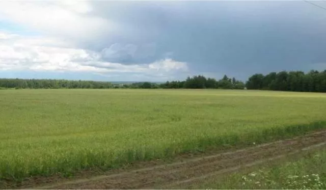 фотография продукта Земельный участок 1770 га саратовская об