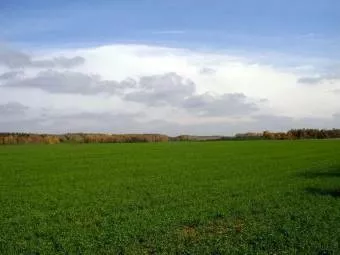 фотография продукта Земельный участок 2143 га пензенская обл
