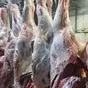 говядина оптом, четверти (халяль) в Казани и Республике Татарстан