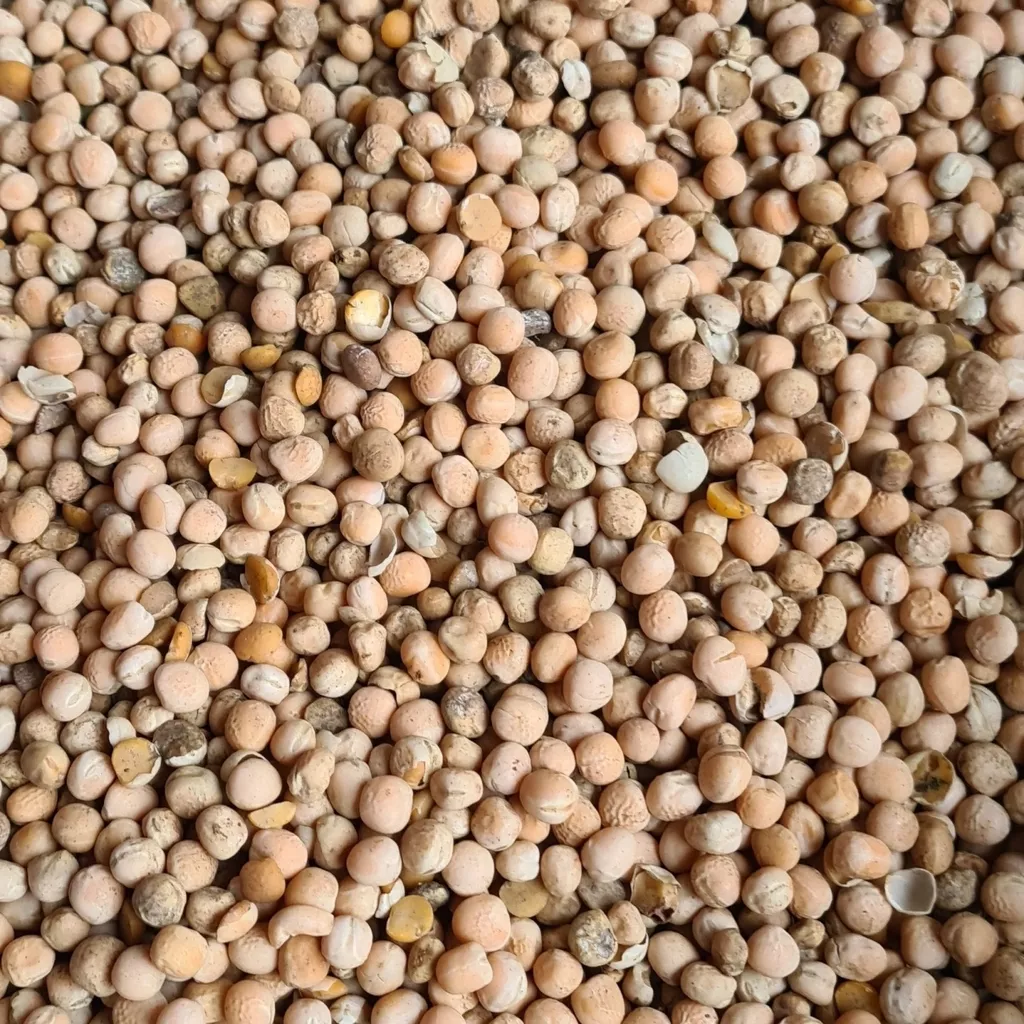 фотография продукта Горох фураж 
