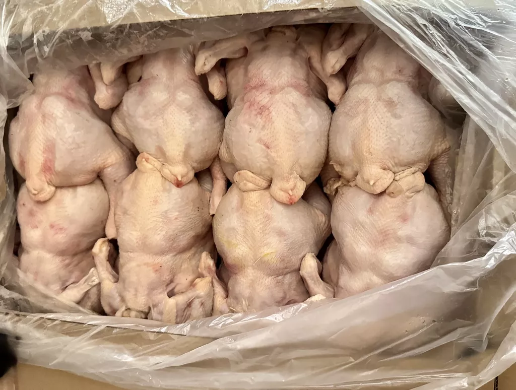 фотография продукта Тушка цыпленка-бройлера 