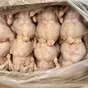 тушка цыпленка-бройлера  в Ростове-на-Дону и Ростовской области