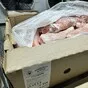 голень индейки  в Барнауле и Алтайском крае 2
