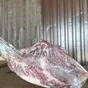 спинно-поясничный отруб  в Ростове-на-Дону и Ростовской области 2