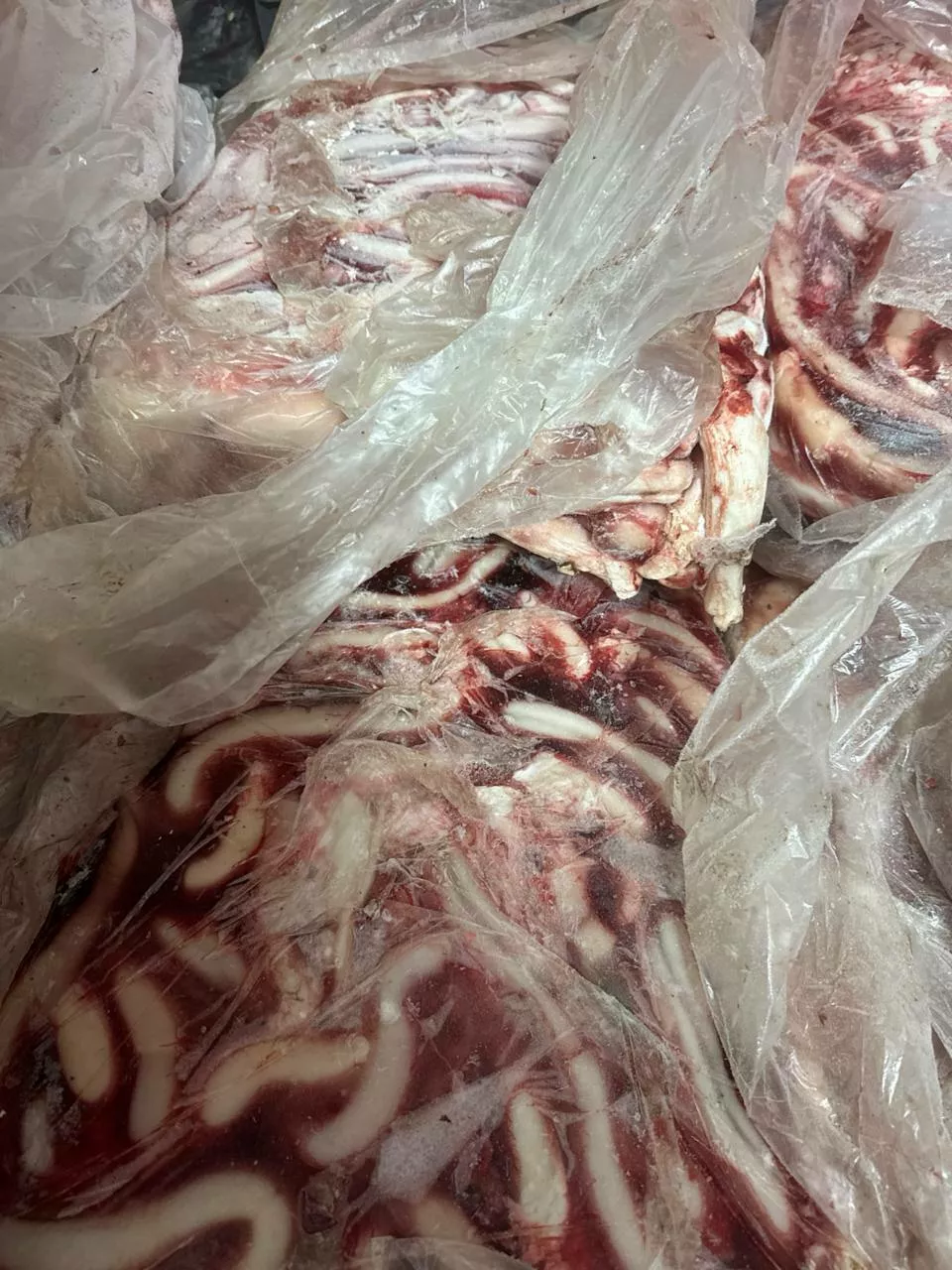 фотография продукта Бычий корень опт меркурий