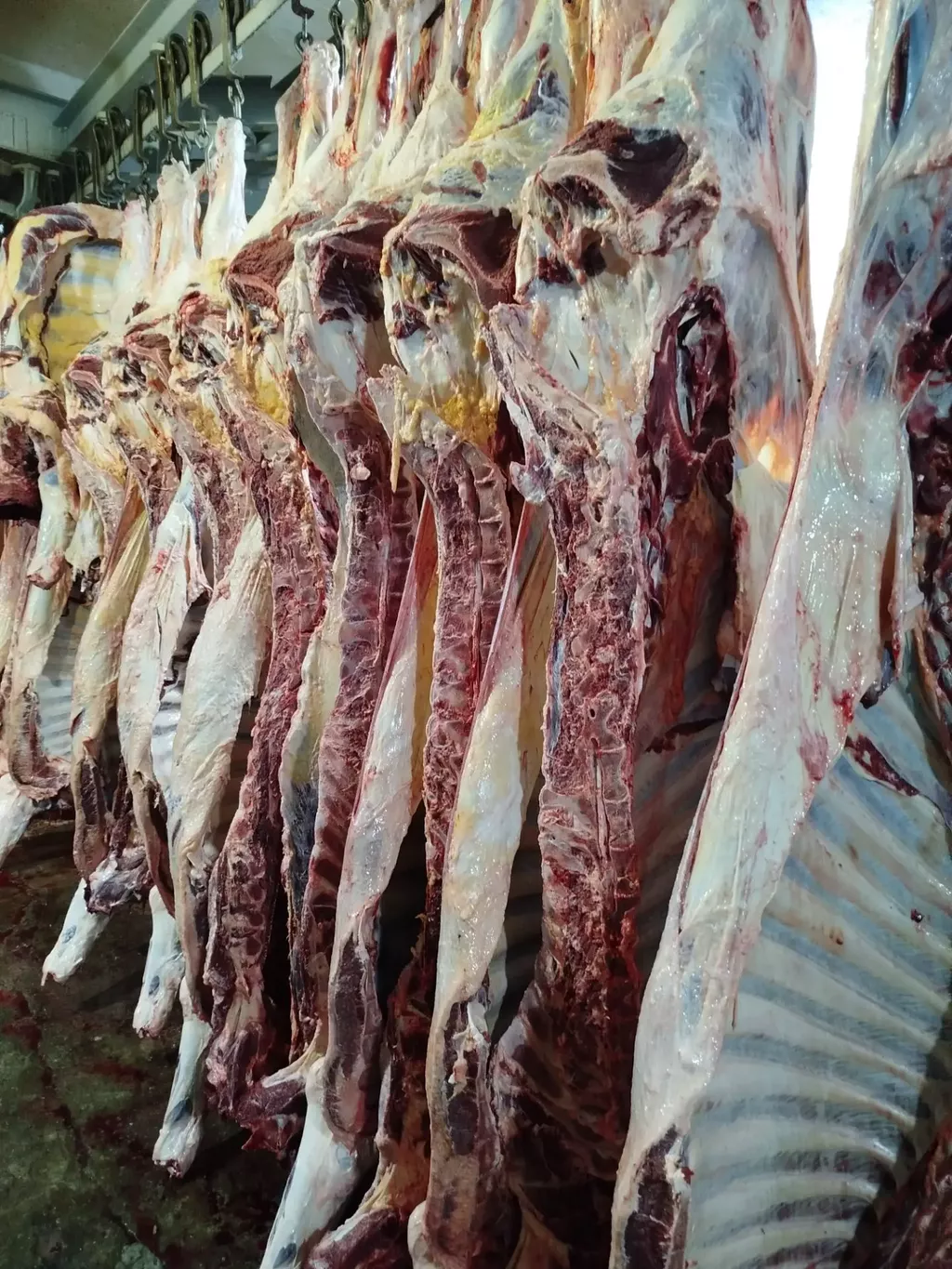 Фотография продукта Говядина полутуши, четверти