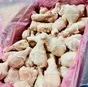 мясо курицы оптом от 500 кг в Москве 5