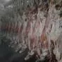 говядина молодняк вес 140... кг в Красноярске и Красноярском крае 2
