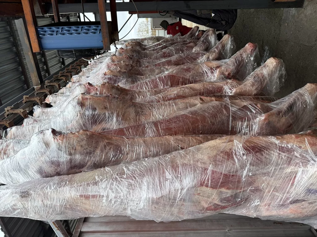 Фотография продукта Говядина туши, полутуши молодняк коровы.