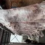 говядина туши, полутуши молодняк коровы. в Барнауле и Алтайском крае 2