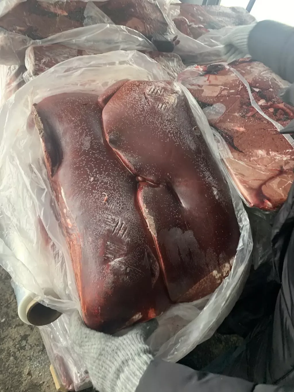 Фотография продукта Печень говяжья