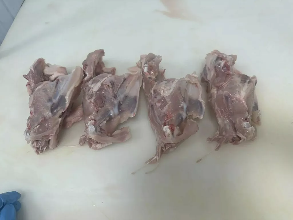 фотография продукта Каркас куриный свеже-мороженный