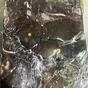 печень свиная заморозка пищевая в Красноярске и Красноярском крае 2