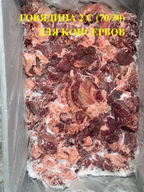 Фотография продукта 2 сорт котлетное мясо, тримминг