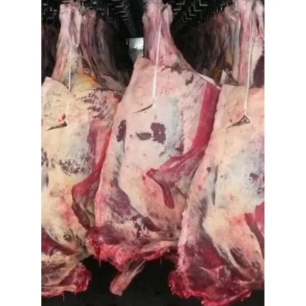 фотография продукта Полутуши быков и коров