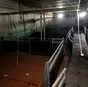 свинотоварный комплекс «сарпинское» в Элисте и Республике Калмыкия 7