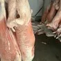 баранина из калмыкии в Екатеринбурге