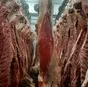 туша, полутуша говядина халяль в наличии в Ижевске и Удмуртской республике 2