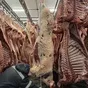 туша, полутуша говядина халяль в наличии в Ижевске и Удмуртской республике 3