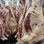 туша, полутуша говядина халяль в наличии в Ижевске и Удмуртской республике 4